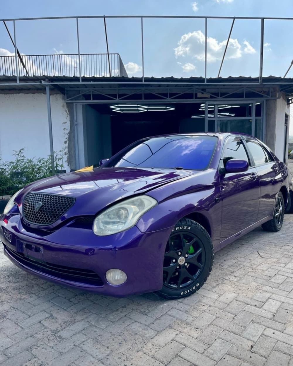 Chameleon tint